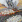 1c92db4dff5162c46467bf9904e33ce1_1735102158_1186.gif