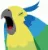 63b29da3622356f66876f43ac8d450bb_1734110268_736.webp