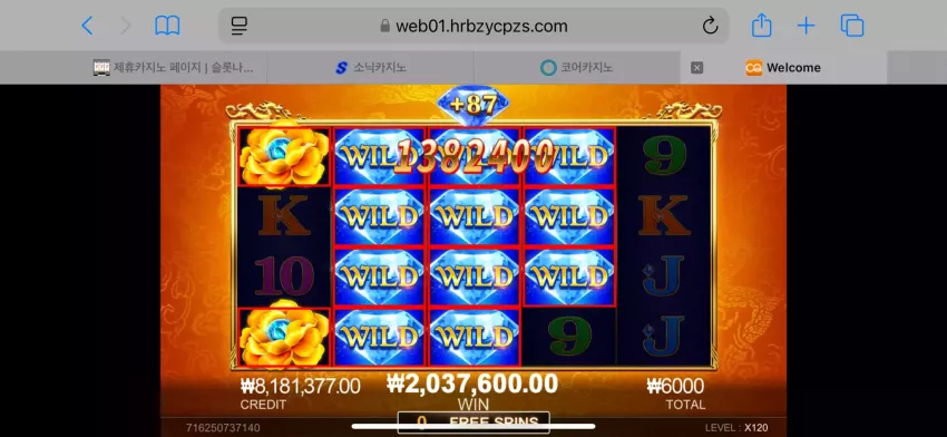 01177cf15dca895d523fbaed02ed15e9_1733372182_0876.webp