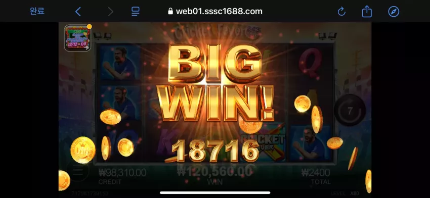 645cc382d523cfef6ffb053d602e7c55_1735015500_4368.webp