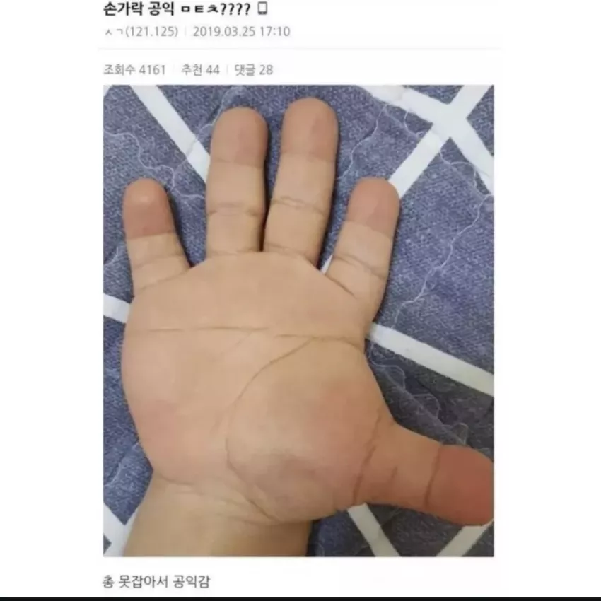ae7893d71d8b662328d7e1c28d8dca3e_1735310605_3304.webp