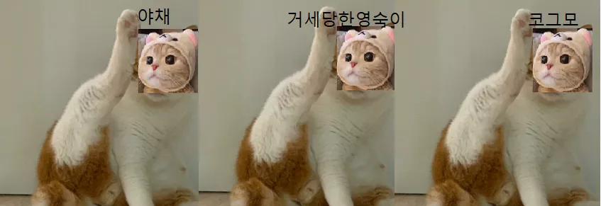 0355b0cbf9de76350a8b788fb13673f8_1738224892_9206.webp