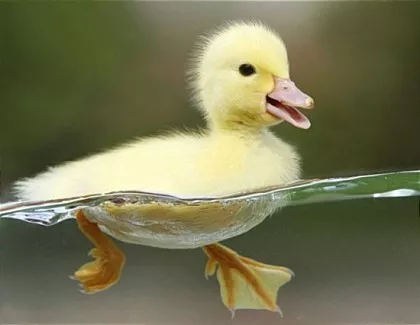796a7870843e06e34053ec9ef2e2f147_1736308847_4701.webp