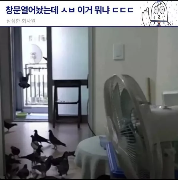 c67e2fd0fb1b9acfca01a4c1f9785a73_1736219977_1582.webp