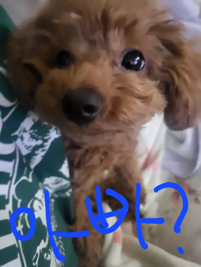 9a9d408b0896a65275bb176d9249d693_1735815420_2576.webp