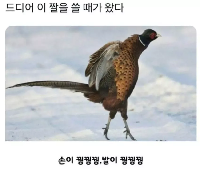 51b63cac0895056643078c4bfbcd9fa0_1738714067_2173.webp