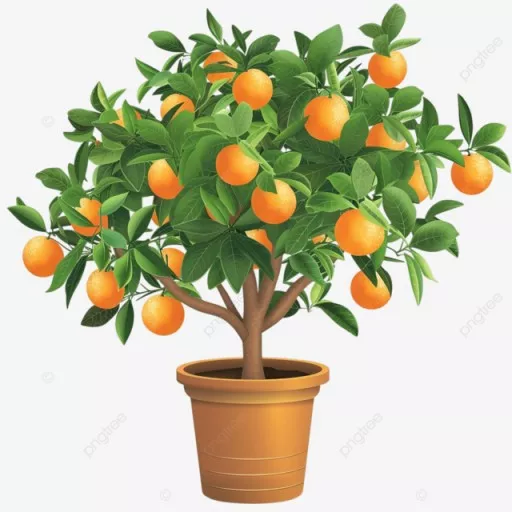 d028f991526a78aa511d8c19c30bce9d_1739055428_772.webp
