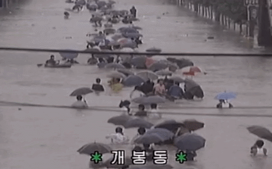 f5d11bc62085a5e385243ab06ab4f640_1738633063_324.gif