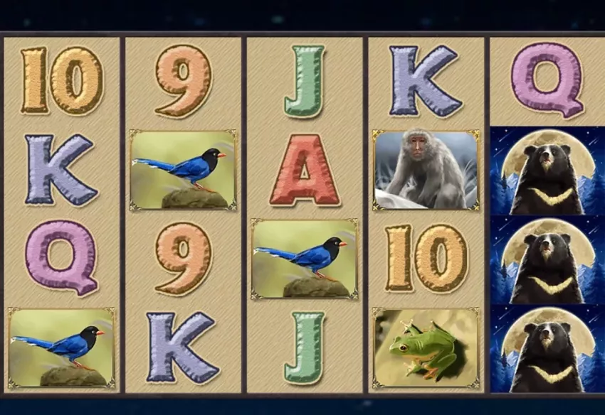 c9859e66e02d8cebdd2cb846998324e6_1740332765_6173.webp