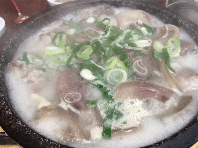 f85c4fd088d1518422857c50ffb6c44f_1742905722_4672.gif