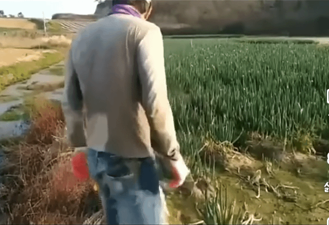 55a060c299ad248cd5d6b9611b28cae6_1744878767_7936.gif