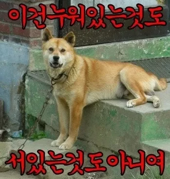 8eee1c538612cbf0e5aa7a7431e88caa_1744805284_97.webp