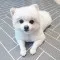 a4d6098d3b86b406fa22abb21b51044a_1744696848_8323.webp