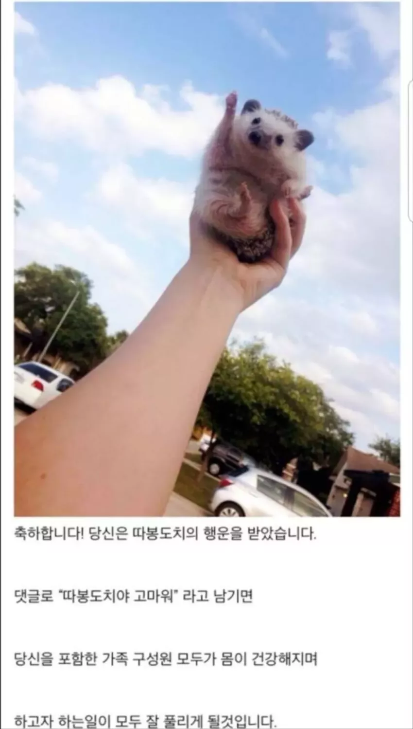 ae5b4896fb0e1e29413e1212201f8122_1744806984_845.webp