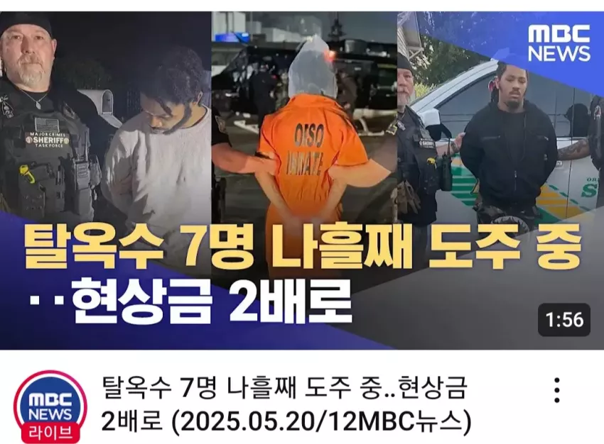 2e1afefe721883f08414234f53153798_1747737581_1176.webp