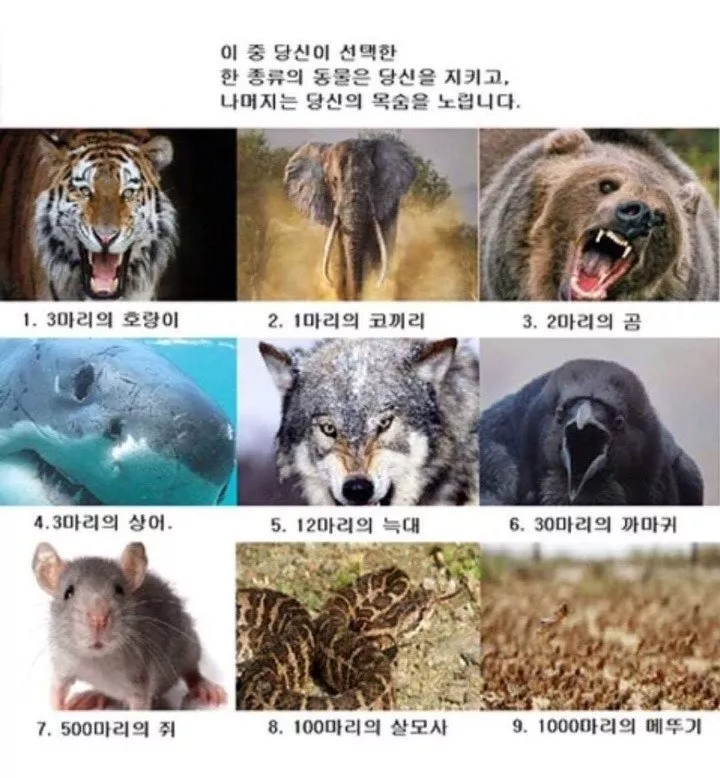 7296e8ab087418d9a08708ed1a9ed9a5_1749954677_3652.webp