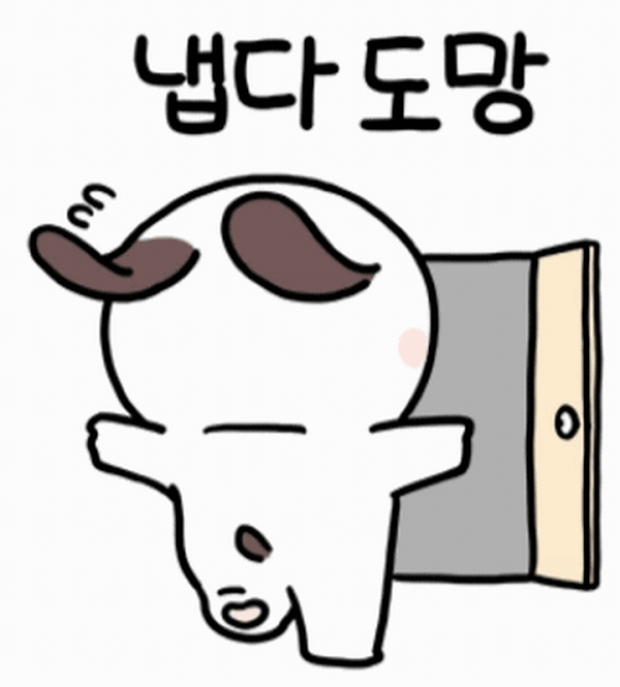 이미지