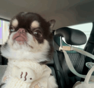 e87e8d9d5eb6ef456af7e680adf55abe_1750386214_4373.gif