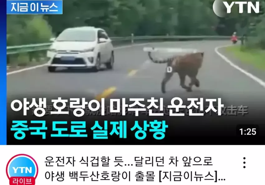 0c58d97e1d588af6a7134bf434d3aee0_1751692829_045.webp