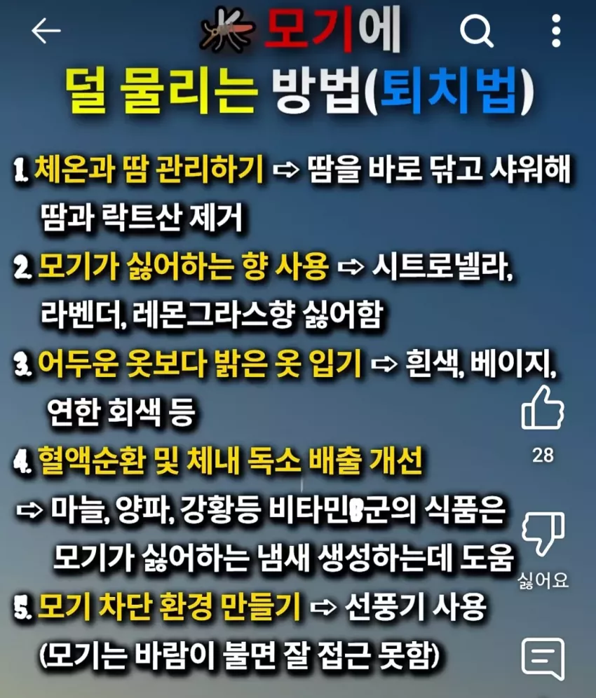 4af4f29e90ae4396a727206ac7bbab5c_1751720429_1789.webp