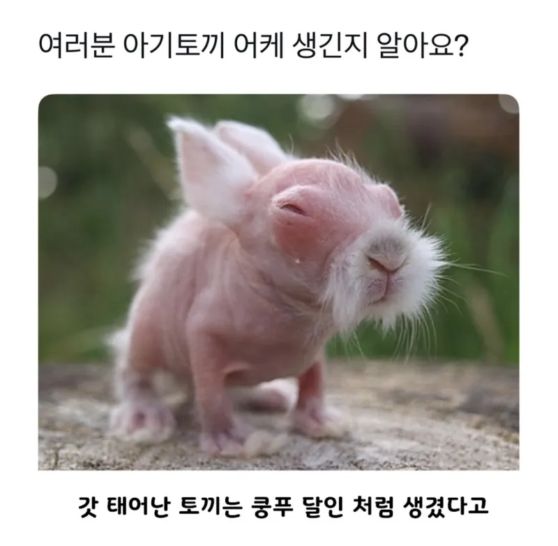 5d1b69f8fd6740a6529e7fb308269565_1755126807_0146.webp