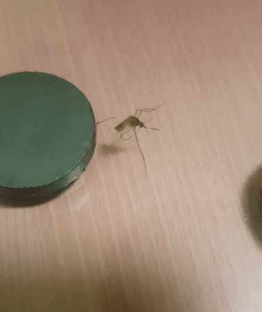 f0bed815871eaf8b1d5202efb48f8c71_1754765382_5198.gif