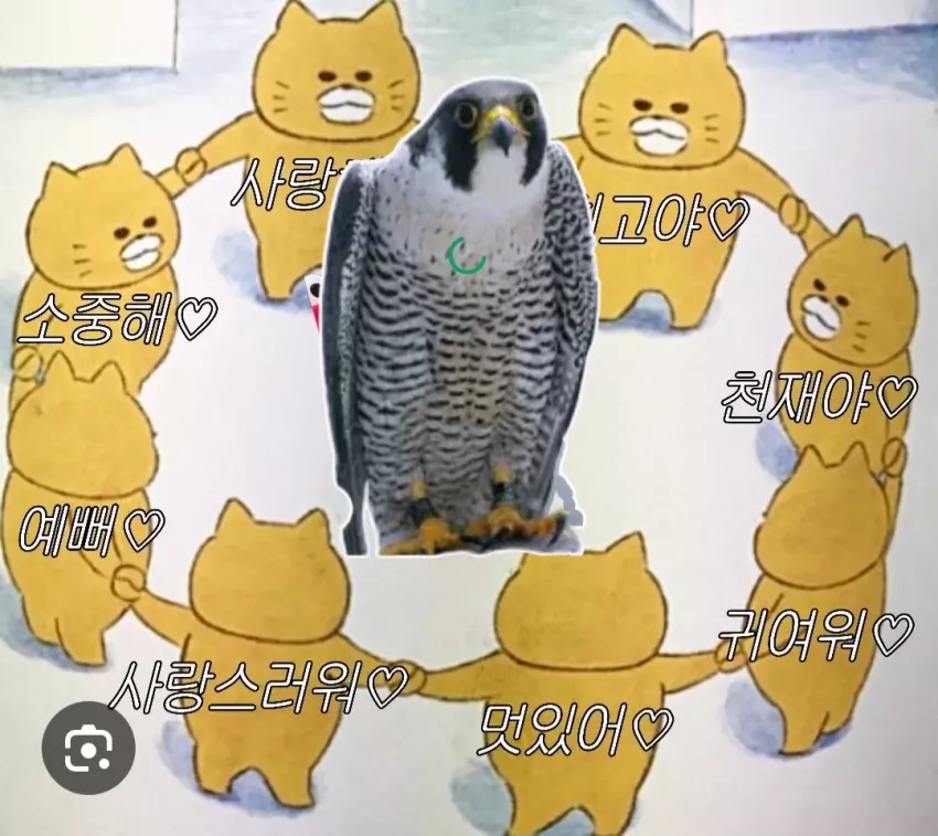 04904f0014a9acc8629a54856df316c2_1755442853_949.webp
