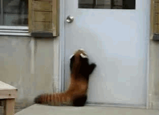 3ce8aac59f9bcc43786671159e07a6a1_1761739934_1704.gif