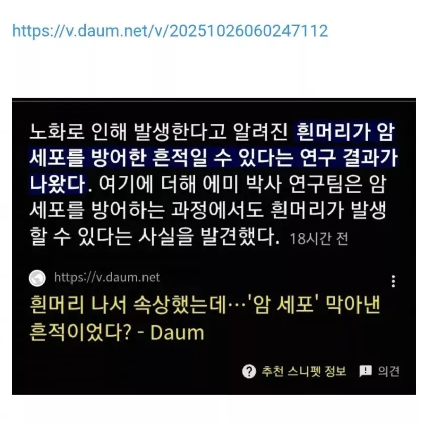 07cb26a22d361ebeec916f09a5331e73_1761586412_0036.webp