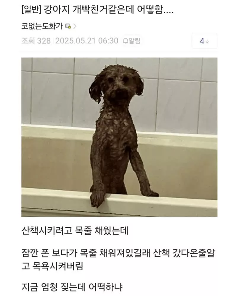 0d266dc1a7319baff57c7b720da948e7_1764055008_3986.webp