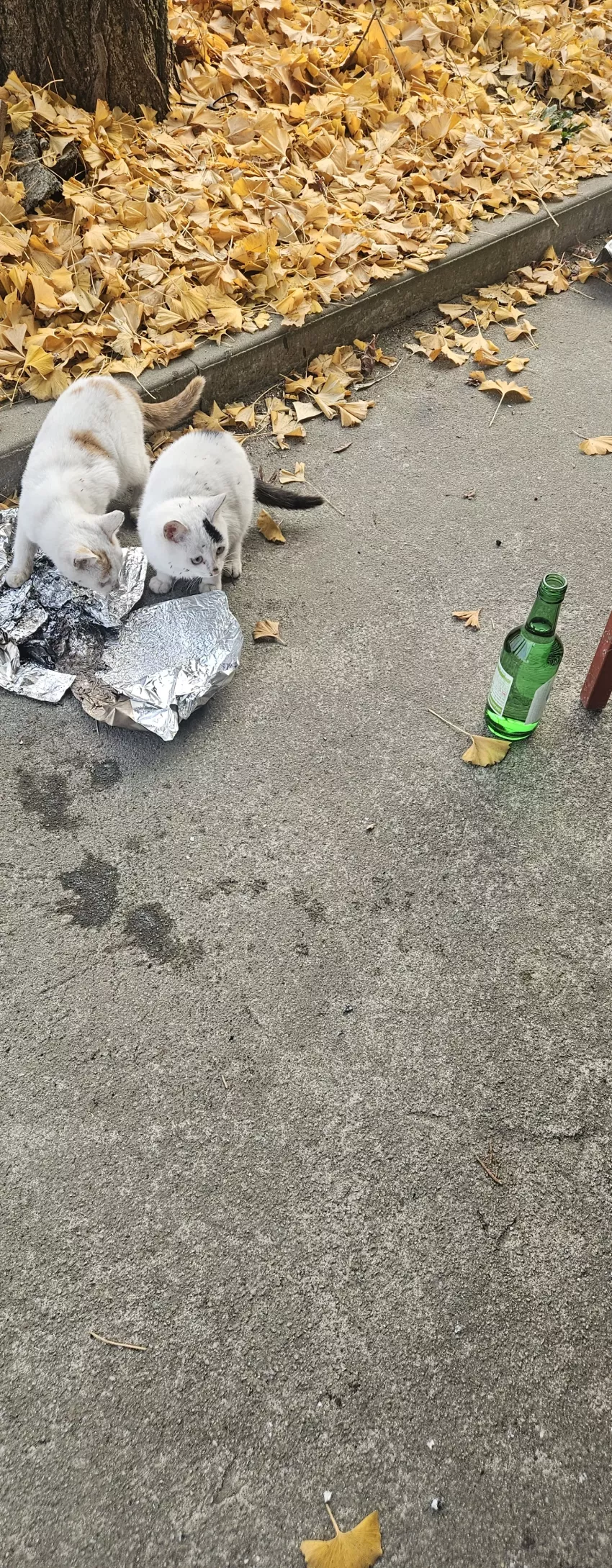 c9323ba2ab08b731f0888ab7000a28e0_1764484883_4556.webp
