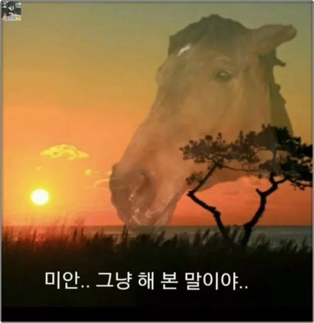 1882bbecb57a8e2d2da025e8220509cb_1771522642_9208.webp