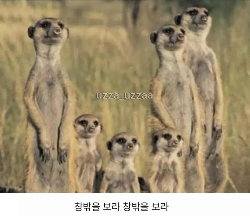 e5e27fb21b08b8eadea00ae83f8acb35_1769935223_998.webp