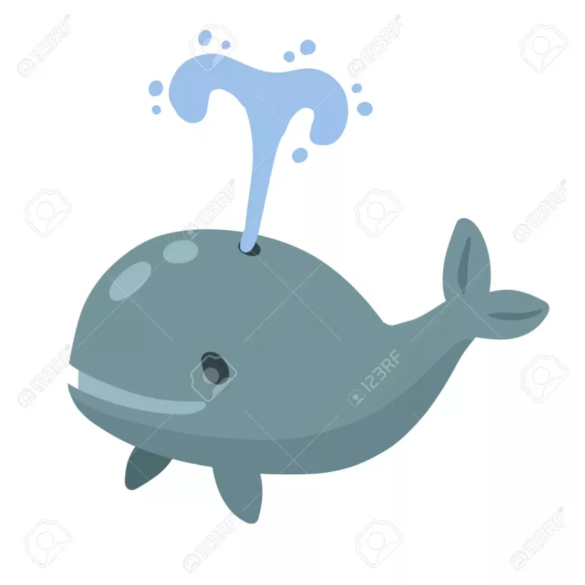 e91ca91856ba42229362db948220e5d3_1779425421_057.webp