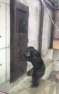 cb7a8aaa6c60f1ef1781922ce283711b_1781685331_6676.gif