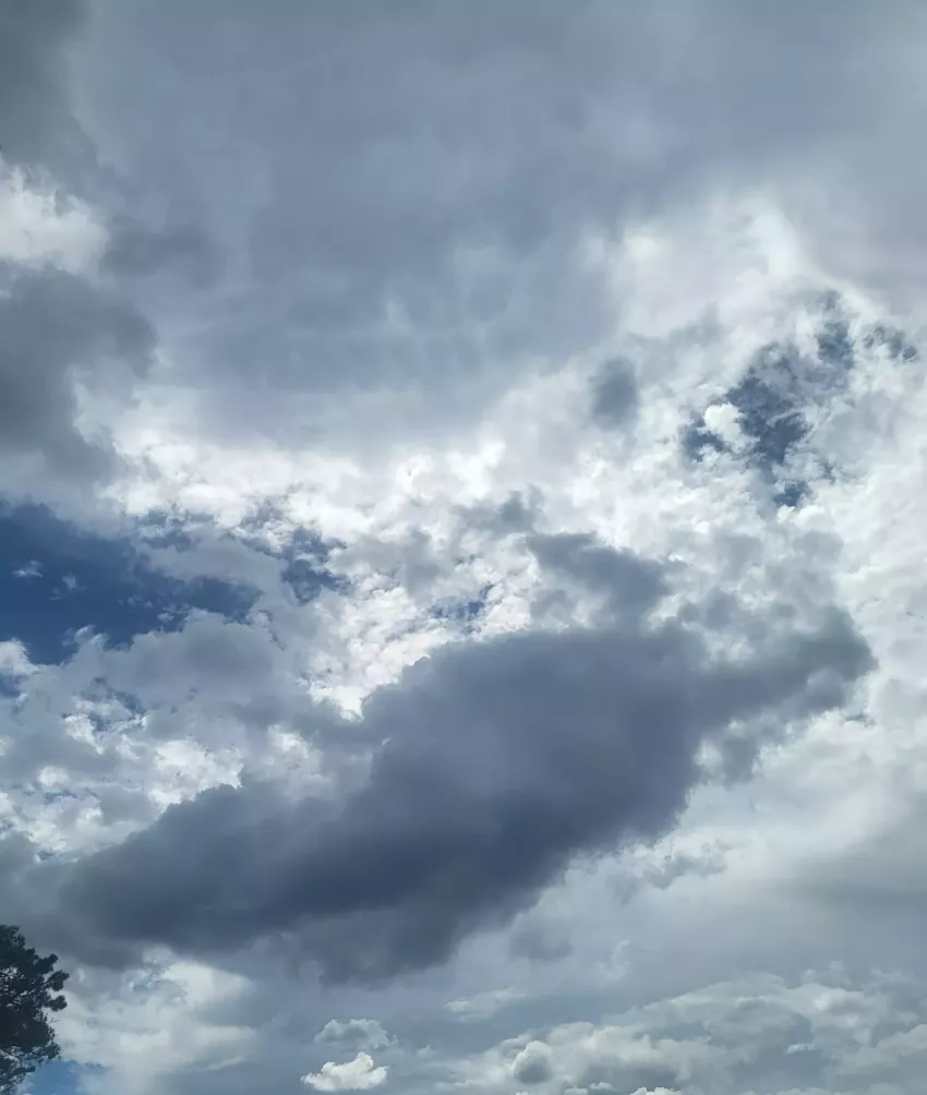 b6f8fb095453b63587cb47d1a07708d6_1786597508_087.webp