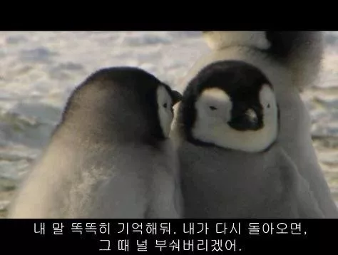 13109a7e9b4e1f72730f66092dd887ba_1791972069_2757.webp