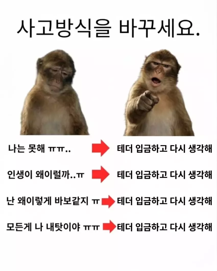 ae686d4948e9e089224b0dd63cbddf53_1792428716_385.webp