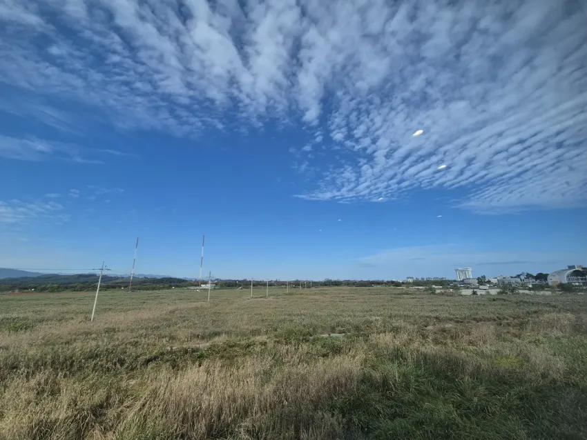 d5916b5ac28645af567056f30552a0a5_1792720270_4176.webp