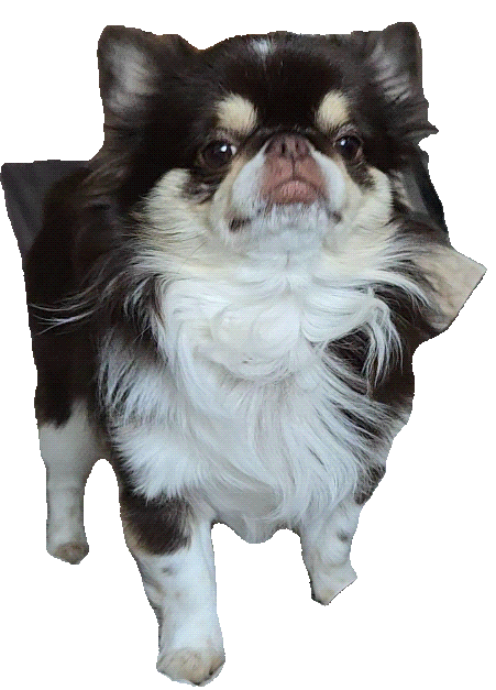 이미지