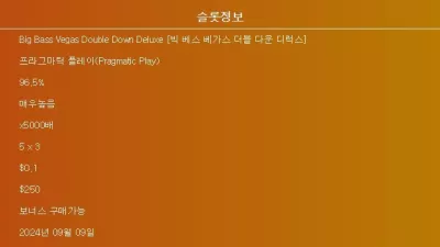 [슬롯리뷰][빅 베스 베가스 더블 다운 디럭스] - 프라그마틱