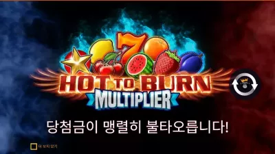 [슬롯리뷰] Hot to Burn Multiplier [핫 투 번 멀티플라이어] 프라그마틱