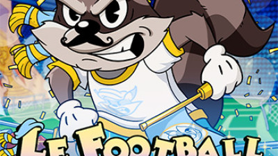 Le Football Fan