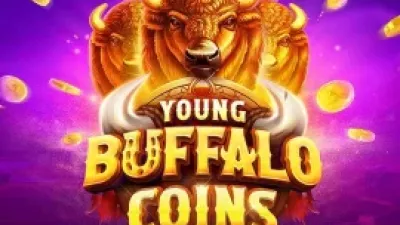 Young Buffalo Coins