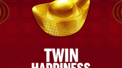Twin Happiness™