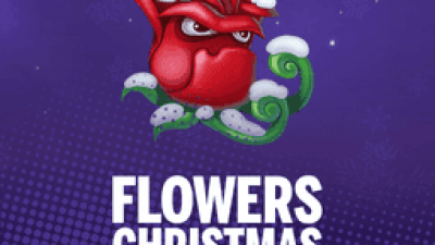 Flowers Christmas