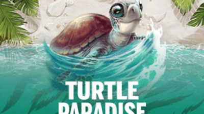 Turtle Paradise