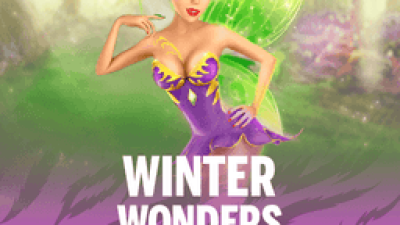 Winter Wonders