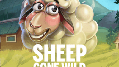 Sheep Gone Wild
