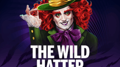 The Wild Hatter